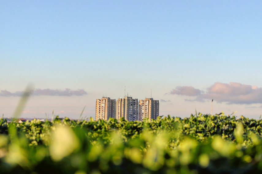 Nachhaltigkeitsherausforderungen für Rechenzentren im Jahr 2025: Zentrale Probleme & Lösungen